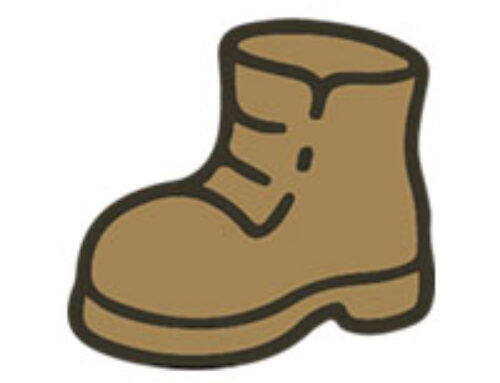 Calzado