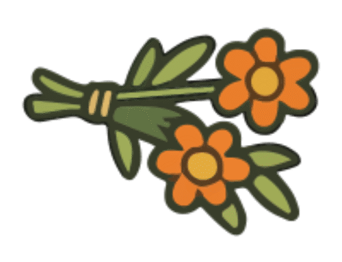 Flores